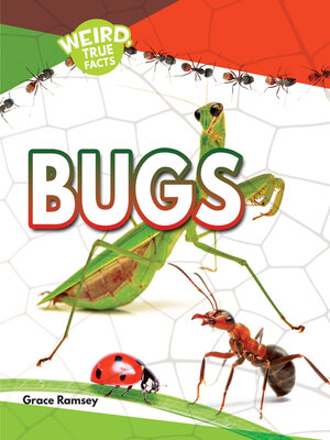 cover image of Bugs